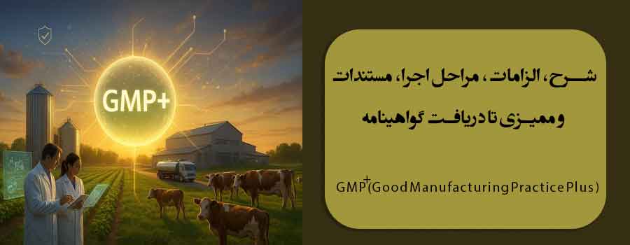 شرح، الزامات، مراحل اجرا، مستندات و ممیزی تا دریافت گواهینامه