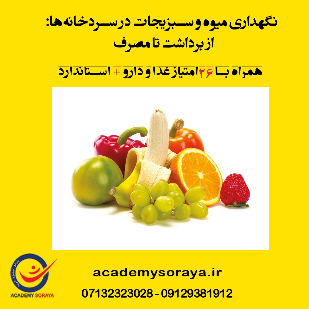 نگهداری میوه و سبزیجات در سردخانه‌ها: از برداشت تا مصرف